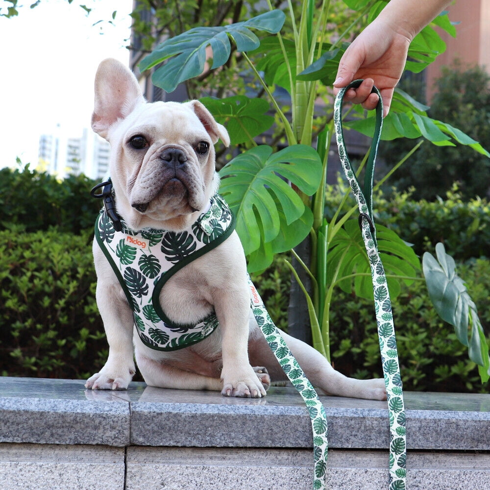 Didog 3pcs/set Cute Pet Dog Collar & Leash & Harness Soft Mesh Walking Vest Adjustable