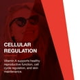 thumbnail image 5 of Protocol for Life Balance Vitamin A 25,000 IU - 100 Softgels, 5 of 8