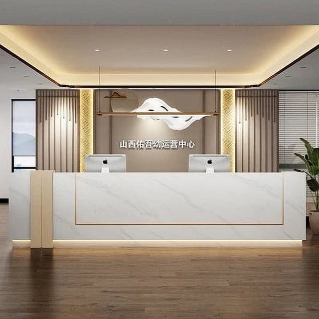Office Modern Reception Desks Counter Lectern Standing Commercial Reception Desks Club Mesa De Escritorio Luxury Furniture My Lux Decor Round