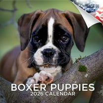 2025 2026 Boxer Puppies Calendar - Dog Breed Monthly Wall Calendar - 12 x 24 Open - Thick No-Bleed Paper - Giftable - Academic Teacher's Planner Calendar Organizing & Planning - Made in USA