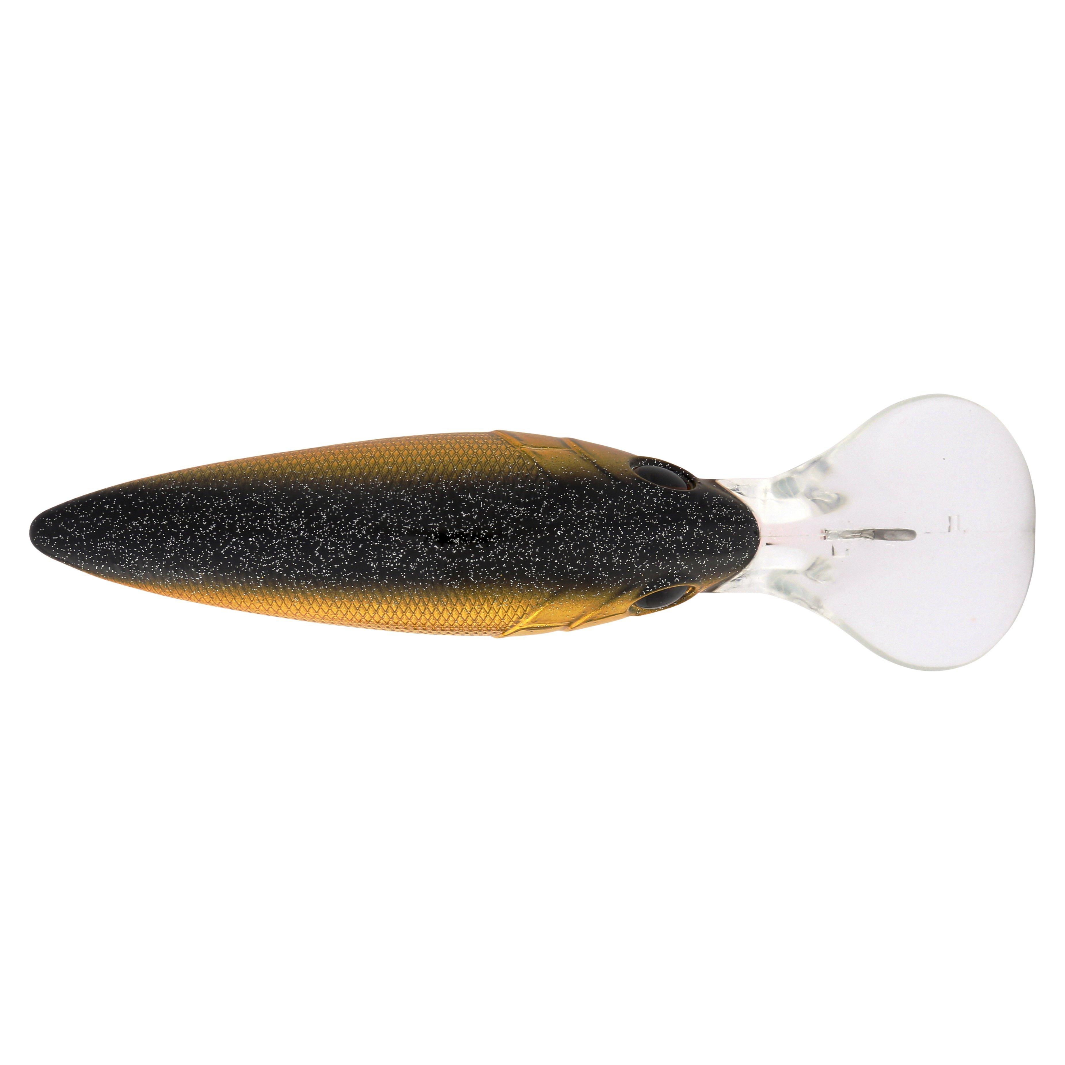 Berkley Money Badger, 6.75, Black Gold