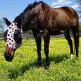 thumbnail image 4 of Harrison Howard Stretch, Breathable, UV Protective Fly Mask with Mesh Eye Opening for Full Visibility and Ventilating Ear Covers Dream Star, 4 of 4