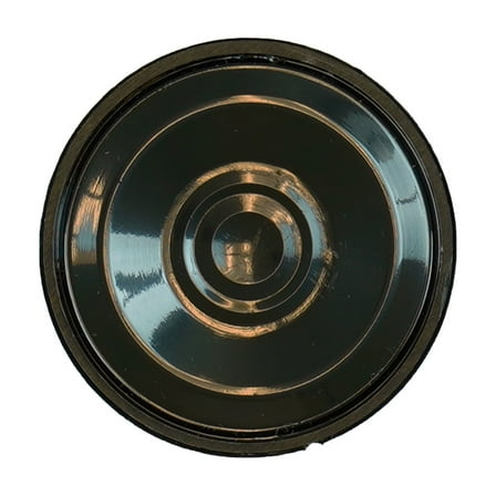 XP DEUS & ORX RC & WS3 Speaker