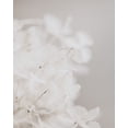 thumbnail image 2 of Straatsma, Leah 26x32 White Modern Wood Framed Museum Art Print Titled - White Wilflowers, 2 of 4