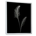 thumbnail image 2 of Designart "Monochrome Simplified Fern" Ferns Floater Framed Canvas Prints, 2 of 5