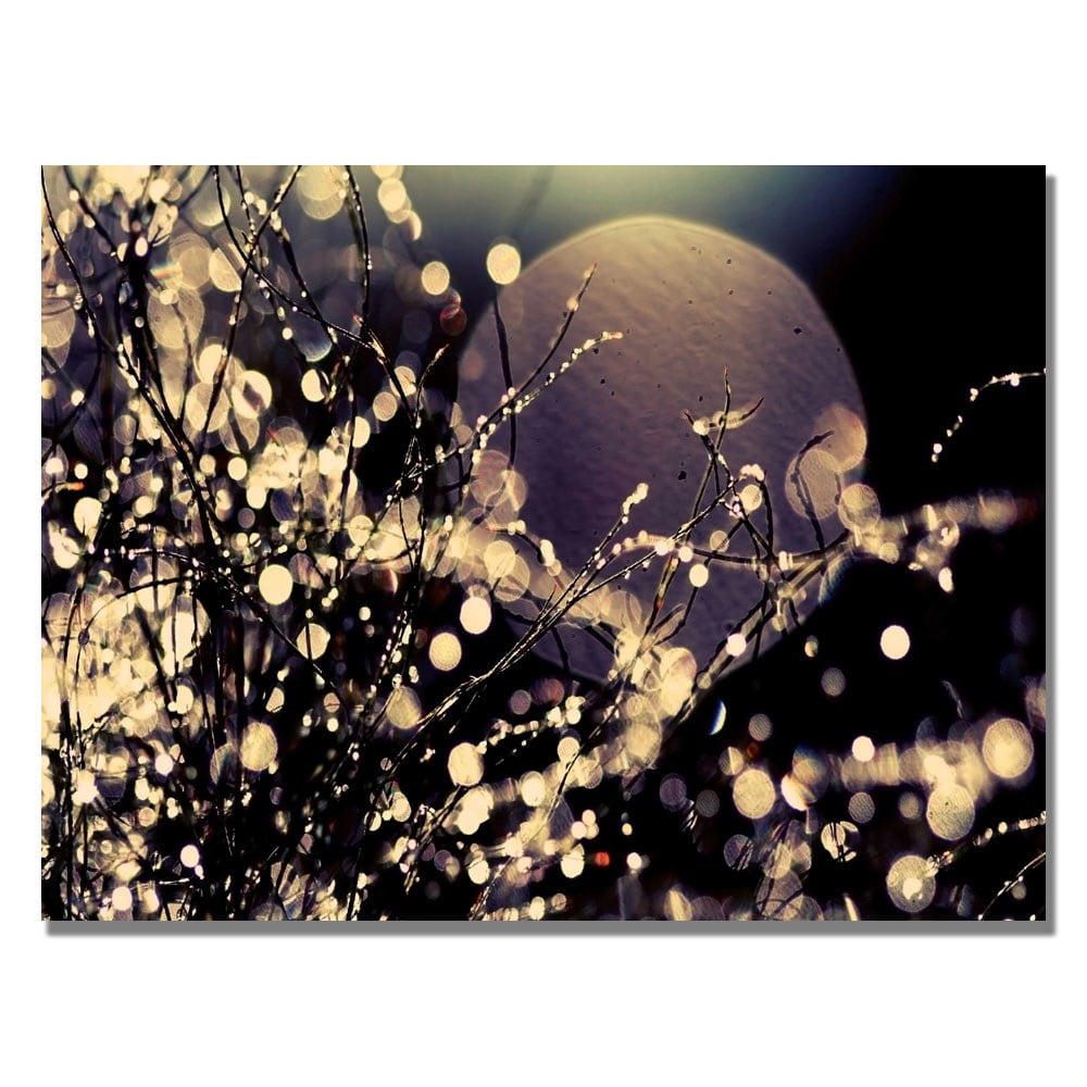 Beata Czyzowska Young 'Moonrise in Fairyland' Canvas Art