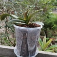 Clear Plastic Plant Nursery Pots with Saucer Transparent Tool with