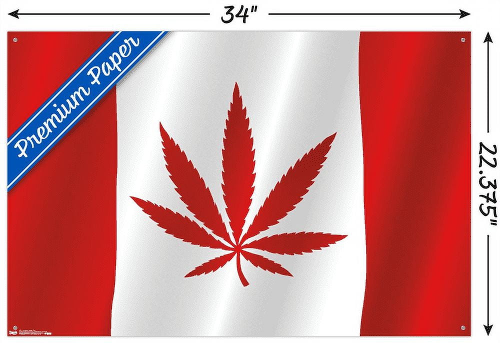 Canadian Hemp Flag Wall Poster with Push Pins, 22.375" x 34"