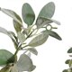 thumbnail image 4 of Artificial Flocked Lambs Ear Garland - 2Meter Soft Faux Vine Greenery and Leaves for Farmhouse Mant, 4 of 5