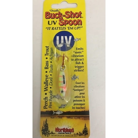 Northland Tackle BRUVS2-60 UV Buck Shot Rattle Spoon Electric Perch 1/16 oz (Best Drop Shot Rod For Perch)