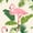 2 - Flamingo, variant on Gogreen Luxury Queen Duvet Cover Floral, Soft & Breathable Microfiber 3 Pieces Queen Bedding Sets, Pattern Queen Comfy Duvet Cover, with Zipper Closure, Includes 2 x Pillowcase, 1 x Duvet Cover