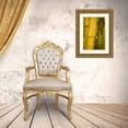 thumbnail image 3 of Millet, Karyn 23x32 Gold Ornate Wood Framed with Double Matting Museum Art Print Titled - Bamboo I, 3 of 4