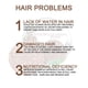 thumbnail image 5 of Champú para oscurecer el cabello Jabón Extracto de plantas naturales Esencia Jabón de fórmula suave Ndcxsfigh Cuidado Belleza, 5 of 6