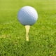 thumbnail image 3 of Tee Pelota Entrenamiento Golf 50 Unidades Ndcxsfigh Estables y Duraderos, 3 of 9