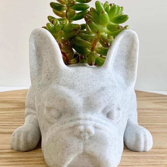 COURAGEDG 1Pc Resin Dog Succulent Planter, 3.94inch French Bulldog Succulent Pot for Home Office Decor