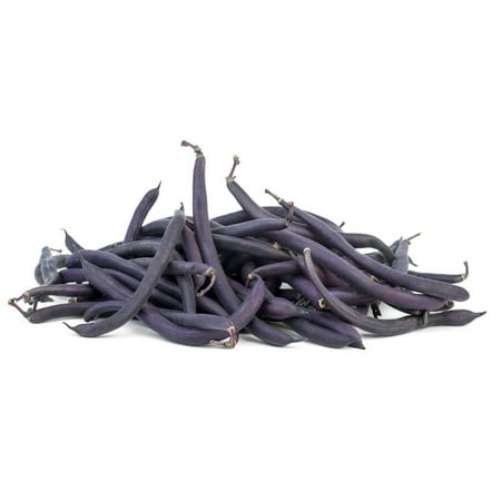 Royal Burgundy Purple Bush Bean 75 Seeds  -tasty Deep purple stringless Bean -Fun for Kids - Gourmet 