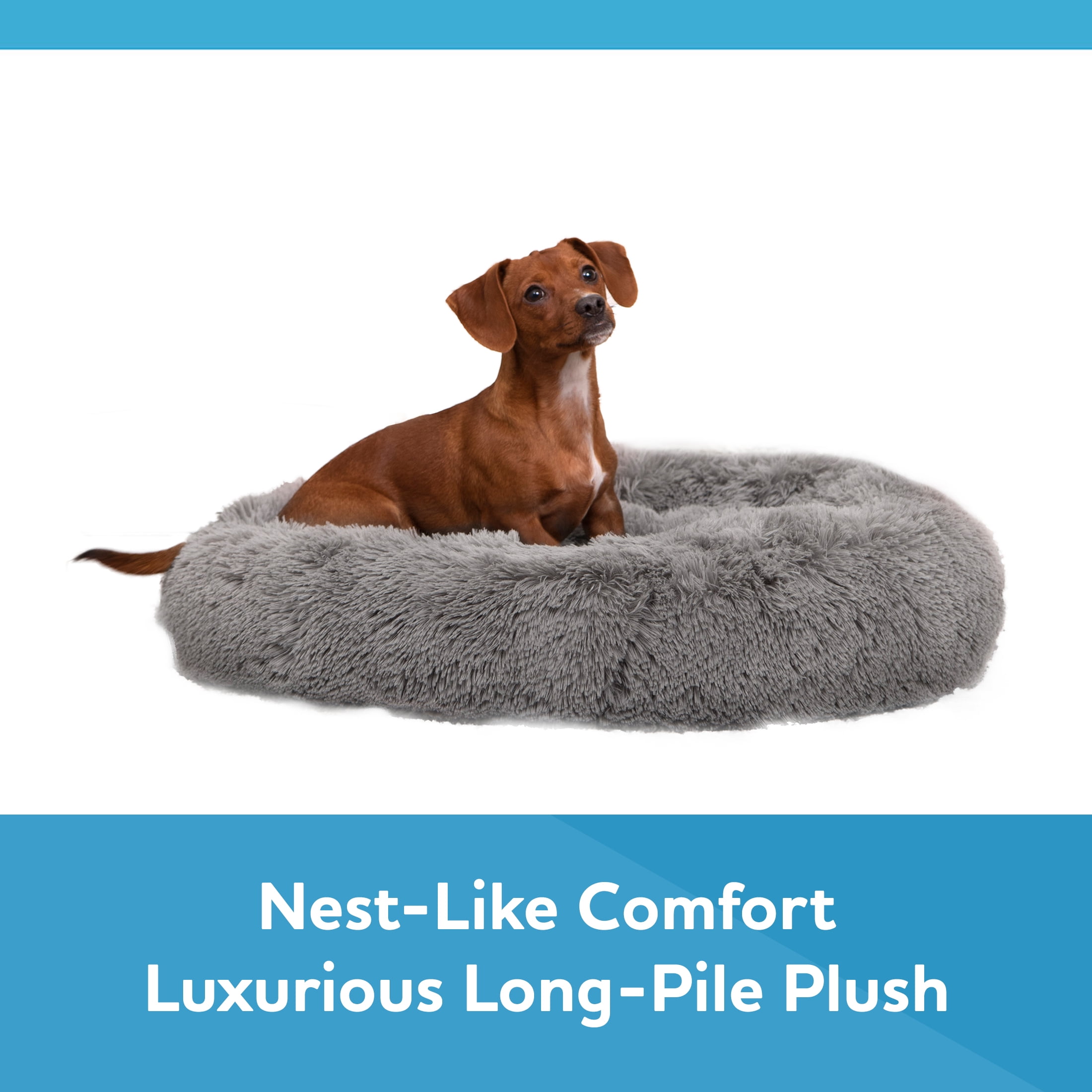 (2 pack) Vibrant Life Easy Lounger Mattress Edition Dog Bed, Small, 24"x24", up to 35lbs