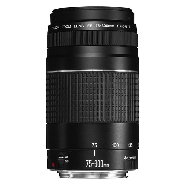Canon EF 75-300mm F/4-5.6 III Objectif