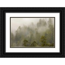 Paulson, Don 18x13 Black Ornate Wood Framed with Double Matting Museum Art Print Titled - CA, Redwood Creek Overlook Fog covers the forest