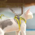 thumbnail image 2 of Arnés para gatos y gatitos, suave, reflectante, de seguridad, para caminar, para cachorros, perros pequeños, correa ajustable para el pecho, transpirable, XXS/XS/S/M/L, 2 of 5