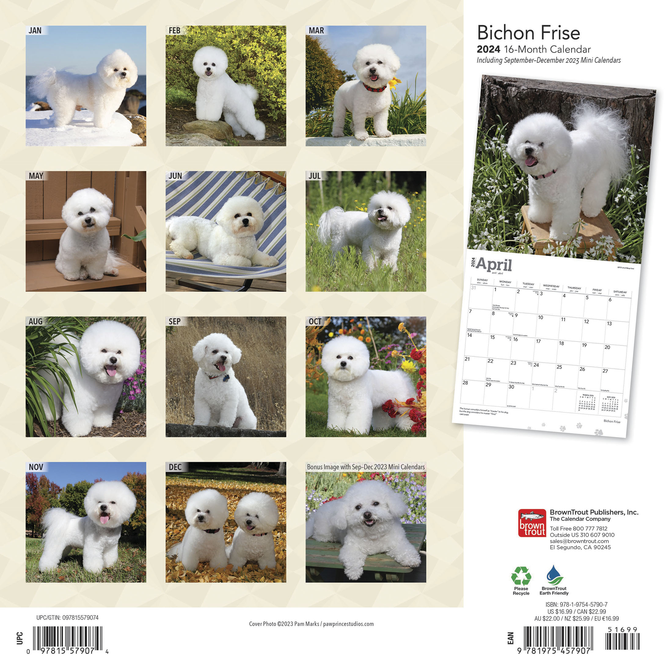 Bichon Frise | 2024 12x24" (Hanging) Square Wall Calendar | BrownTrout - image 2 of 8