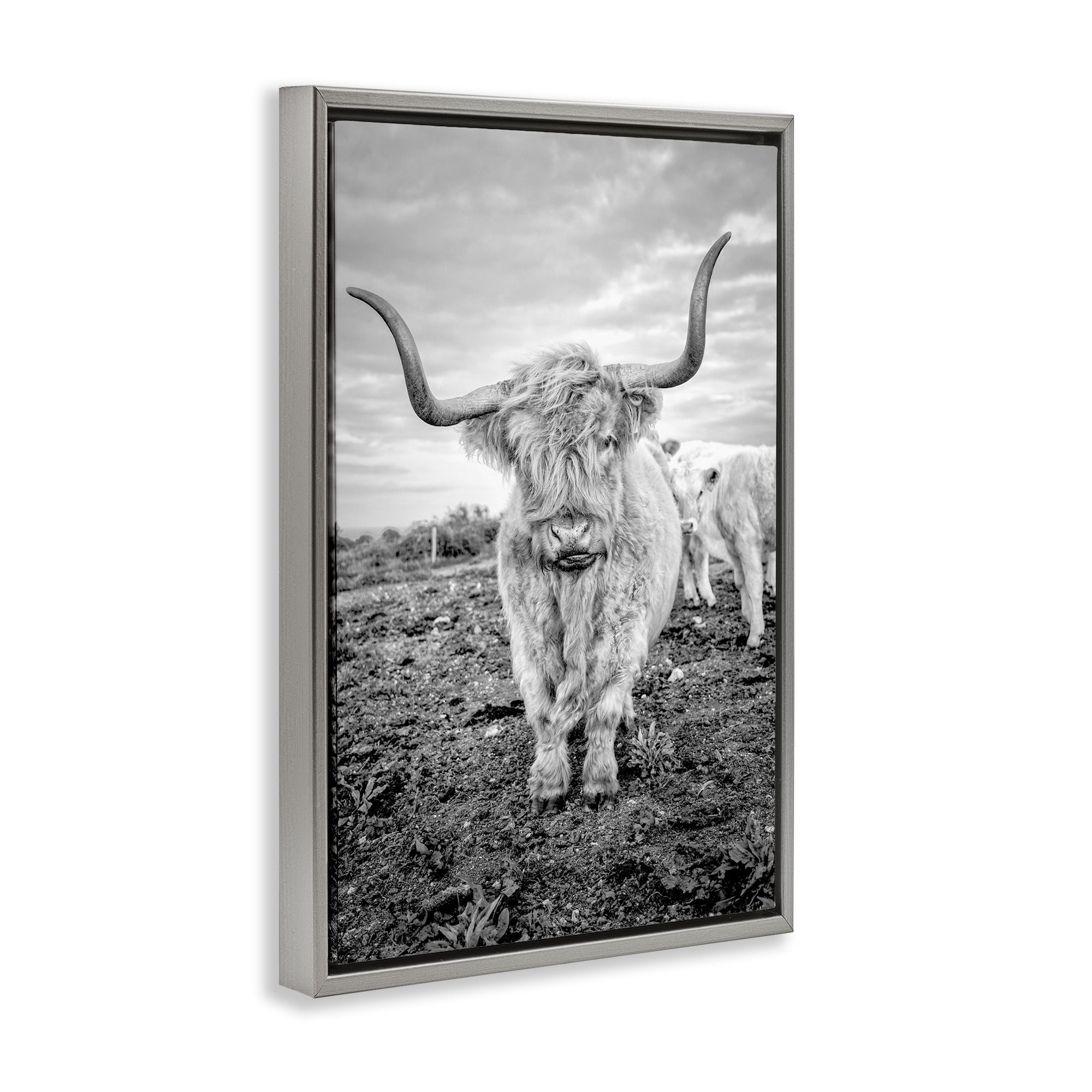 Stupell Industries Longhorn Calf Family Animals & Insects Photography Gray Floater Framed Canvas Art Print Wall Art, 17 x 25