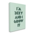 thumbnail image 3 of Stupell Industries I'm Sexy And I Grow It Gardening Plant Humor Canvas Wall Art, 16 x 20, Design by Lil' Rue, 3 of 5
