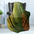 thumbnail image 4 of National Parks Soft Flannel Fleece Throw Blanket, Surreal Foggy View Deep in the Forest Eco Path Full of Leaves Landscape, Cozy Plush for Indoor and Outdoor Use, 50" x 70", Green Yellow, by Ambesonne, 4 of 5