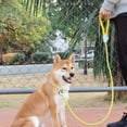 thumbnail image 2 of Adjustable Dog Integrated P-type Rope Stereoscopic Reflective Dog Leash Collar Pet Supplies, 2 of 8