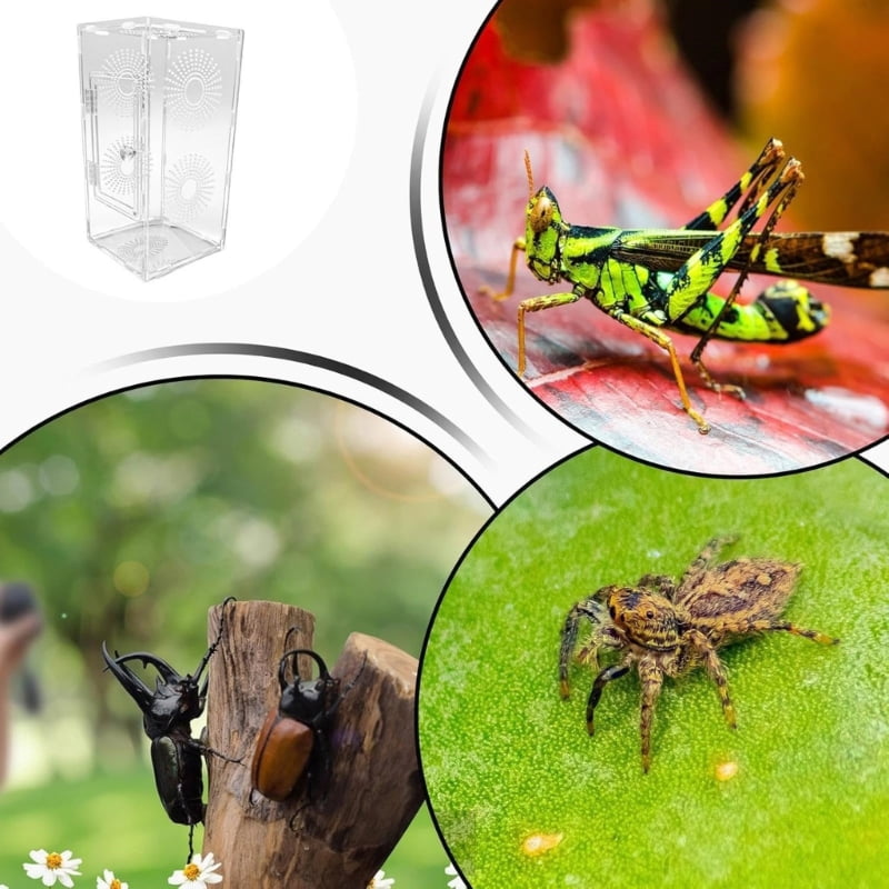 Zecic Clear Observation Terrarium Pet Enclosure Tanks For Jumping Spiders Mantises