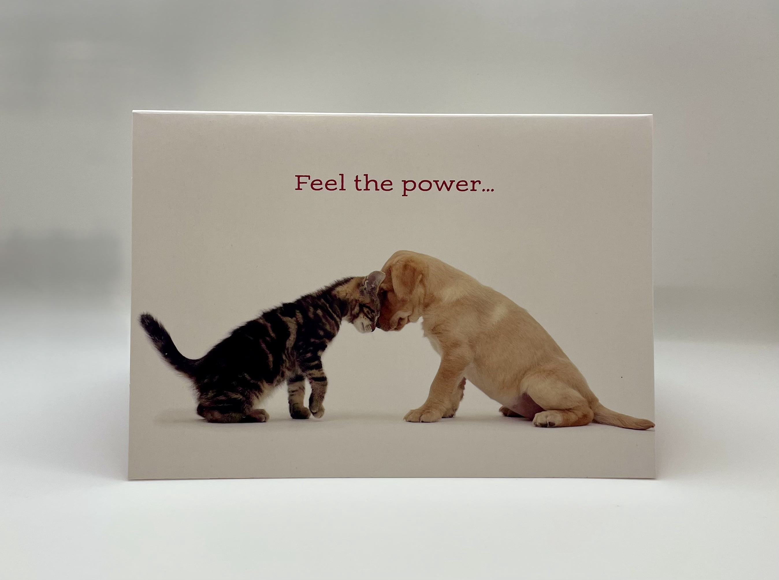 Gracefully-Yours 190 Anniversary Better Together Greeting Cards