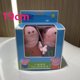 thumbnail image 1 of 2 unids/set Peppa Pig juguetes de peluche genuinos para niños peppa con oso de peluche George con dinosaurio muñecos de peluche suaves juguetes para niños caja original, 1 of 5