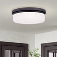 thumbnail image 4 of Livex Lighting Ceiling Mount or Wall Mount, 4 of 11