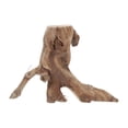 thumbnail image 2 of 1Pc Rattan Vine Withered Vine Red Mountain Vine Solid Wood Grape Table Adornment (As Shown), 2 of 3