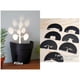 thumbnail image 4 of Indoor Plant Light for Projecting Shadows and Illuminationideal,Black, 4 of 5