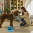 thumbnail image 2 of Slow Feed Dog Bowl Anti Slow Feed Dog Puzzle Bowl Puppy Slow Food Dog Bowl Interactive Anti Flatulence Dog Food Bowl Tableware, 2 of 5