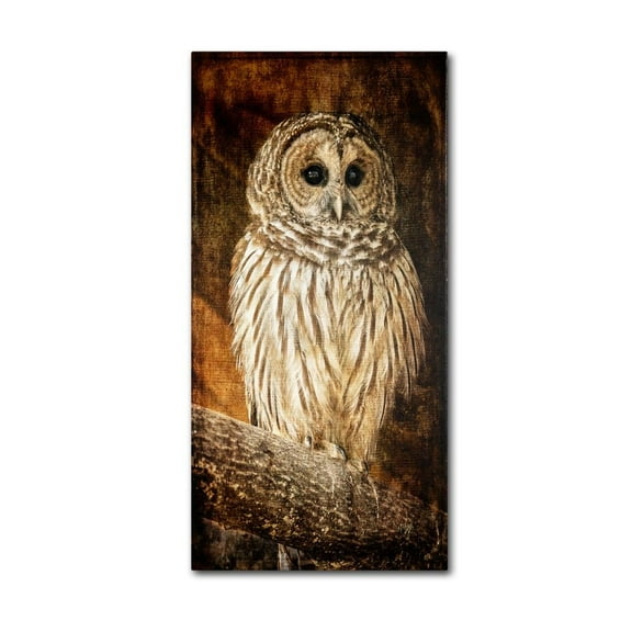 Trademark Fine Art "Wisdom" Canvas Art by Lois Bryan