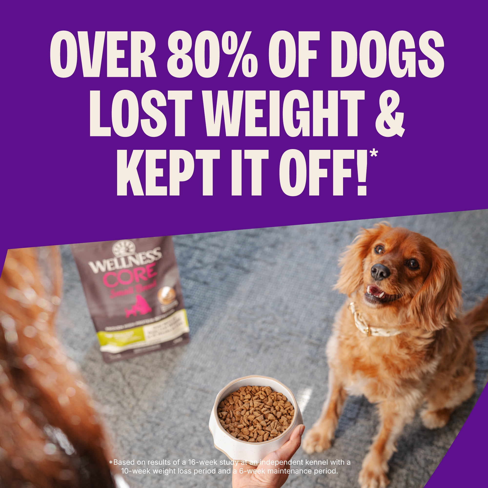 Wellness CORE Dry Dog Food, Small Breed, Grain Free, High Protein, Natural, Healthy Weight Turkey & Chicken Recipe, (12-Pound Bag)