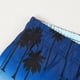 thumbnail image 3 of Pantalones de natación de verano para surf, calzoncillos bóxer de cintura baja para adultos para hombres Pompotops  qyievc7847, 3 of 8