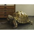 thumbnail image 2 of Moe's Maquette de Figurine de Tortue en Or, 2 of 3