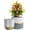 6.7"+6.7"-white Gold Grey, variant on White Ceramic Flower Pots - 6.7 + 5.4 Inch Indoor Planters, Plant Containers in a Marble Ink Pattern with Rose Gold and Pink Detailing