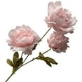 thumbnail image 1 of LCXmlly Clothes Storage Bag Simulation Peony 3 Heads Realistic Faux Silk Flower Photo Props, 1 of 6