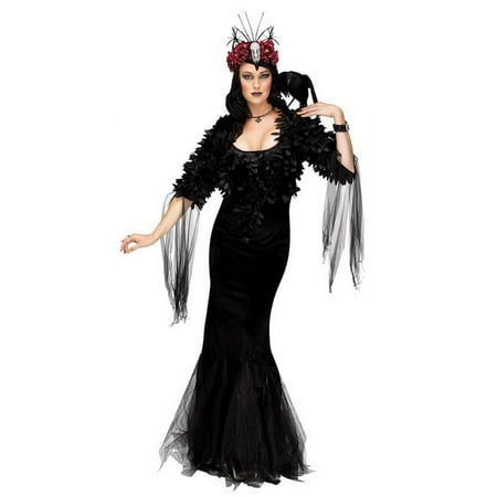 Raven Mistress Women\'s Adult Halloween Costume
