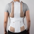 thumbnail image 2 of Daonsa Soporte Dorsolumbar Grande, 2 of 5