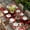 Green Red Deep Red, variant on Cardinal Bird Table Cloths for 8 Foot Rectangle Tables, Winter Poinsettia Pine Cones Berry Wood Patio Waterproof Elastic Fitted Tablecloths, Washable Rectangular Table Cover for Camping
