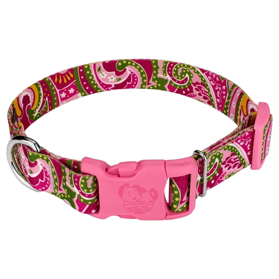 Country Brook Petz® Pink Paisley Patterned Dog Collar with Pink Buckle, Medium