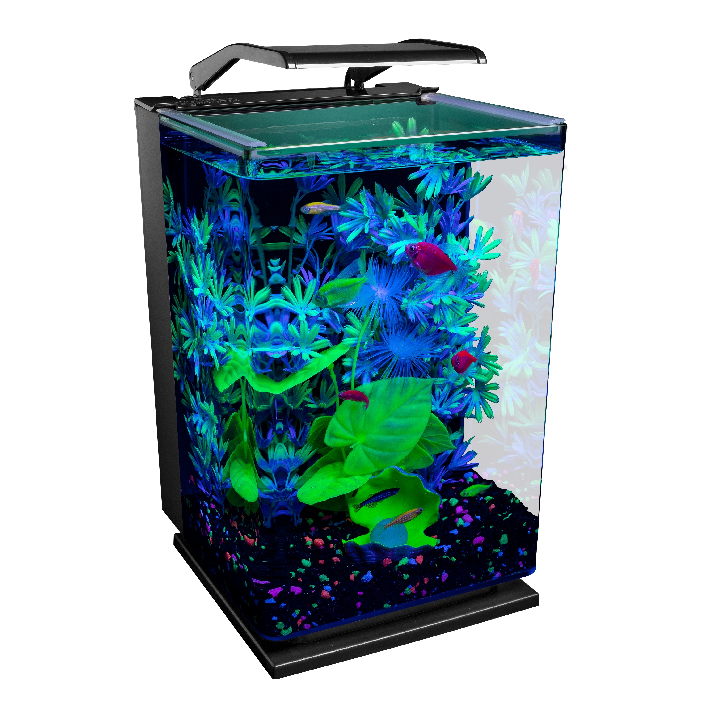 GloFish 5 Gallon Aquarium Starter Kit with LED Lighting photo 3