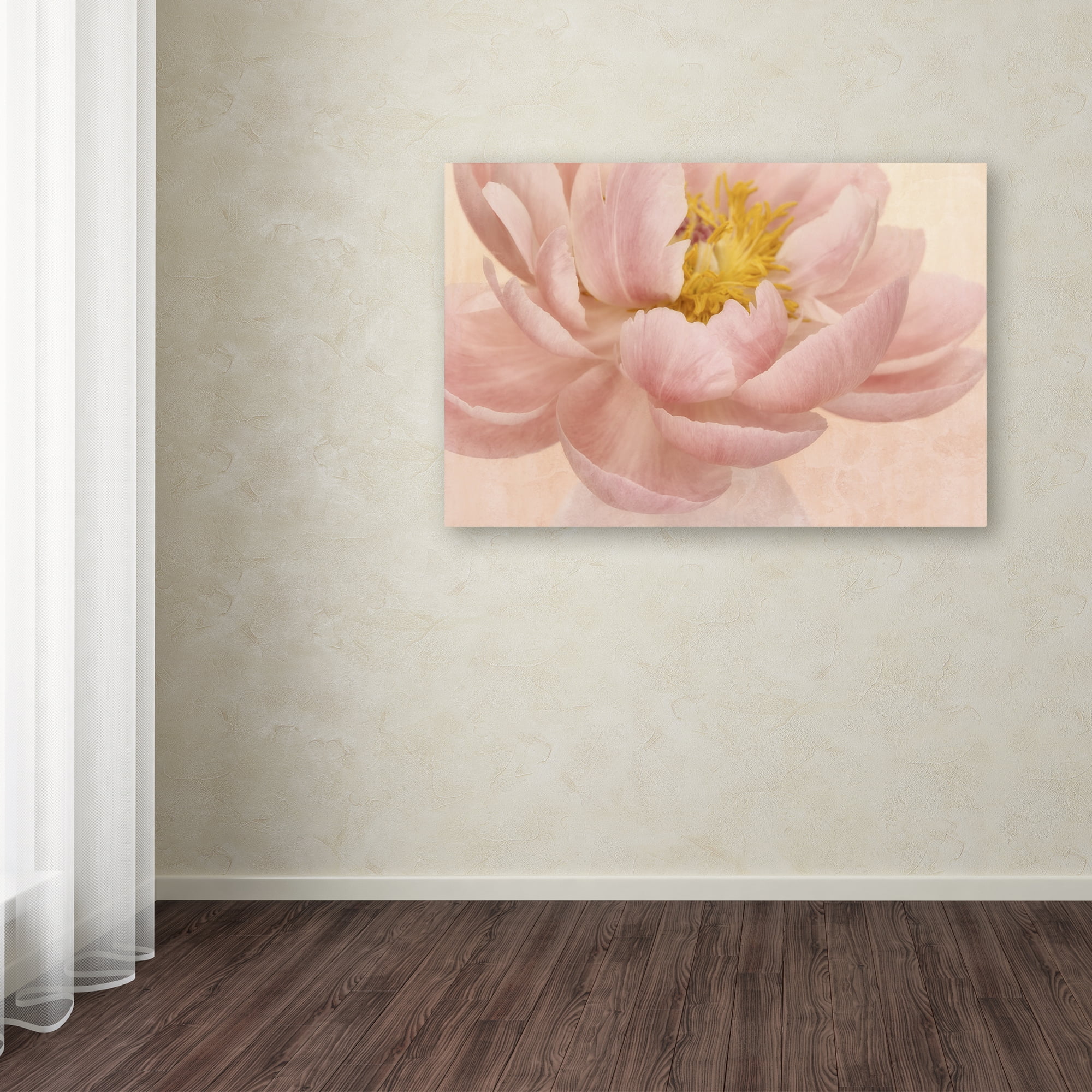 Trademark Fine Art 'Pink Peony' Canvas Art by Cora Niele