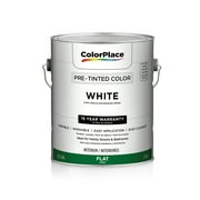 ColorPlace Interior Flat, White
