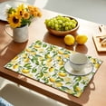thumbnail image 5 of Placemats Set of 4, Floral Lemon Place Mats Summer Fruit Green Leaves Tablemats Washable Placemat Table Decoration for Kitchen Table Dinner Party Home Decor Indoor Outdoor 13x19 Inch, 5 of 9